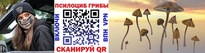 Галлюциногенные грибы Psilocybine cubensis  hydra ссылки  Новотроицк  что такое  